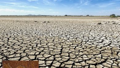 Photo of خشکسالی در ایران و راه‌های مبارزه با بحران آب و تغییر اقلیم